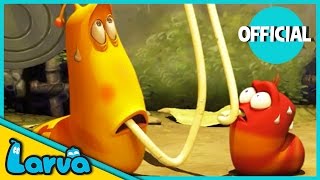 LARVA Funny Animation  LARVA AND THE SPAGHETTI  Cartoons  Comics  LARVA Official [upl. by Hynes]