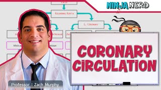 Circulatory System  Coronary Circulation [upl. by Atniuq]