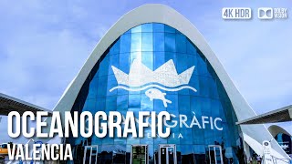 Oceanografic Valencia Largest Marine Park of Europe  🇪🇸 Spain 4K HDR Walking Tour [upl. by Debo]