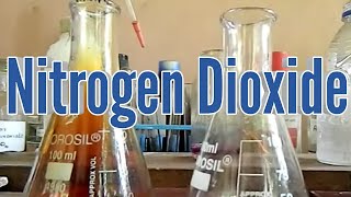 Nitrogen Dioxide  preparation and properties [upl. by Margi]