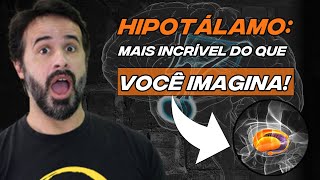 HIPOTÁLAMO MAIS INCRÍVEL DO QUE VOCÊ IMAGINA [upl. by Assirat]