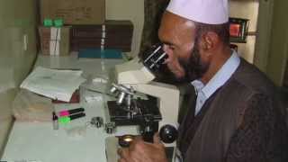 Malaria rapid diagnostic tests to improve treatment in Afghanistan [upl. by Tiga]