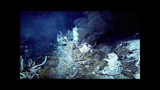 The Deepest Place On Earth Mariana Trench  Documentary [upl. by Hitchcock159]