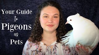 Your Guide to Pigeons as Pets [upl. by Siron]