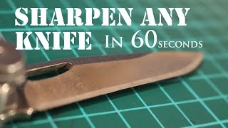 The Laziest Way to Sharpen Any Knife to Razor Sharp 2 [upl. by Alyehc]