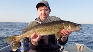 BIG WALLEYES Walleye Fishing Mille Lacs Lake 2023 [upl. by Surdna998]