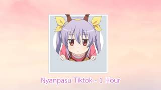 Nyanpasu remix  1 Hour [upl. by Thamora]