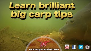 Brilliant carp tips and action [upl. by Harraf810]