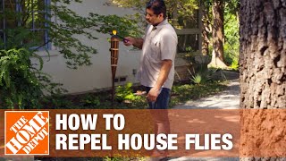 How to Keep Flies Away and Prevent Flies in Your House [upl. by Lorinda]