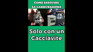 Carburazione Motosega Carburatore a membrane come carburare motosega HOW TO CARBURETE THE CHAINSAW [upl. by Euqilegna]