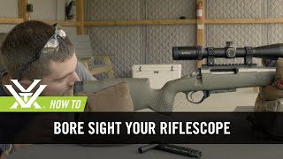 How To Bore Sight Your Rifle [upl. by Nedah]