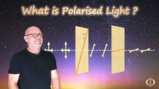 What is Polarised Light Polarisation Part 1  Waves  Physics [upl. by Susanne]