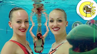 Coole Action im Wasser  Synchronschwimmen  Tigerenten Club [upl. by Nonnaer]