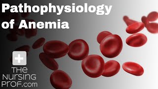 Pathophysiology of Anemia [upl. by Fuld258]