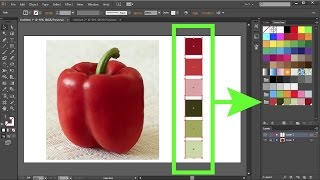 How to Create Custom Color Swatches in Adobe Illustrator [upl. by Leinahtan450]