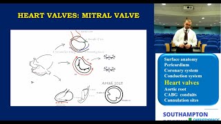 Cardiac Anatomy Mitral and Tricuspid Valves [upl. by Citron477]