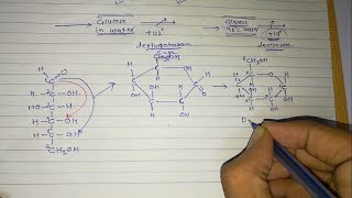 4 Sugar isomers Part3 Optical isomers [upl. by Samanthia584]