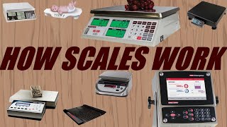 How Does a Digital Scale Work [upl. by Pontus]