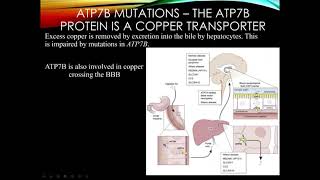 Hyperkinetic Movement Disorders [upl. by Nnylaj]