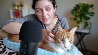 ASMR Cat Pampering 😽 purring brushing soft whispers [upl. by Paapanen]