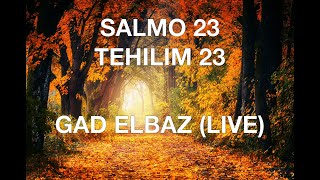 SALMO 23 GAD ELBAZ EN VIVO LYRICS ESPAÑOL FONETICA HEBREA [upl. by Ettenim]