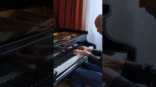 Liszt  Hungarian Rhapsody No 2 [upl. by Hairu810]