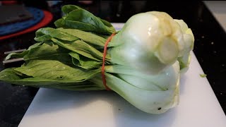 How to cook Bok Choy Pak Choi [upl. by Inaflahk]