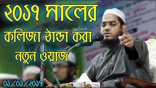 Hafizur Rahman Siddiki Bangla Waz 2017  Bangla New Waz 2017 Kolija Danda Kora New Waz [upl. by Anaujit]