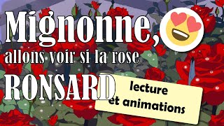 Mignonne allons voir si la rose  poème de Pierre de Ronsard  Lecture [upl. by Kath326]