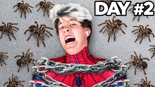 I Survived 50 Hours as SpiderMan  Challenge [upl. by Ambert]