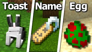 20 Secrets You Didnt Know About Nametags in Minecraft [upl. by Sophronia359]