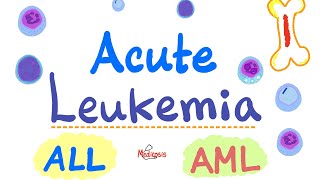 Chronic myeloid leukemia Pathogenesis Staging and periheral blood findings [upl. by Chicky]