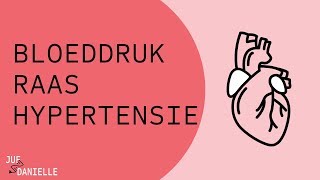 Bloeddruk RAAS en hypertensie [upl. by Bunni]