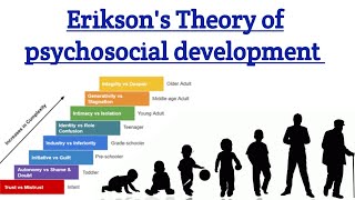 Eriksons theory of Psychosocial Development psychology 8 stages of psychosocial theory in hindi [upl. by Balcer]