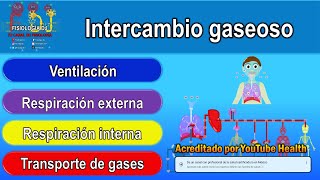 Intercambio gaseoso  Intercambio gaseoso pulmonar fisiología  Intercambio gaseoso fisiología [upl. by Avelin]