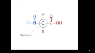 BTEC Applied Science Unit 3 Enzymes 1 [upl. by Enaitsirk]