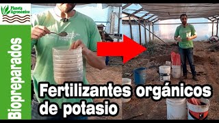 FERTILIZANTES ORGÁNICOS 🍌🍌 de POTASIO para la huerta AGROECOLÓGICA [upl. by Ailhad]