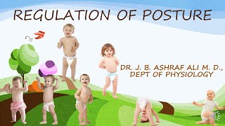 Regulation of Posture by Dr JB Ashraf Ali MD [upl. by Sig]