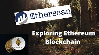 How To Use Etherscan  Everything You Should Know About Etherscan [upl. by Aicia]