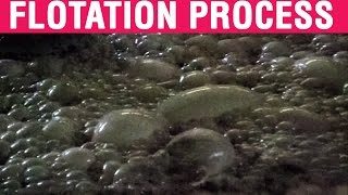 Froth Flotation Process  Mineral Processing  Froth Flotation Video [upl. by Airad]