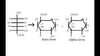 Learn to write Pyranose Furanose form using Haworth Formulae [upl. by Dafodil]