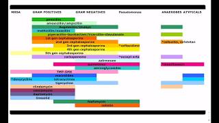 Antibiotic Coverage Made Easy  USMLE  COMLEX [upl. by Jenifer]