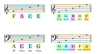 How To Read Notes On The Staff  EASY  Music Theory Tutorial [upl. by Kcirej513]