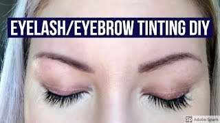 HOW TO TINT YOURE OWN LASHES amp BROWS DIY RefectoCil Review [upl. by Kcir634]