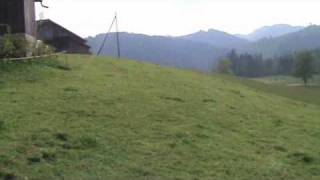 Aubrac Jungtiere Frohwies BächliHemberg Schweiz [upl. by Ida]