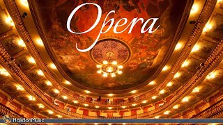 Opera  Overtures amp Instrumental Arias [upl. by Gamages992]