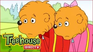 The Berenstain Bears Family Adventures [upl. by Ajad]