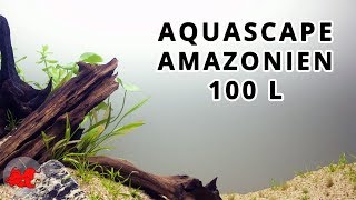 Aquascape aquarium Amazonien 100L [upl. by Pollyanna]