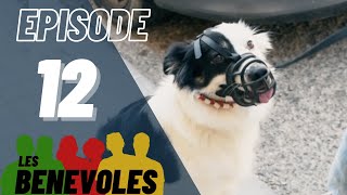 Les Bénévoles  Episode 12  Esprit Dog [upl. by Aittam218]