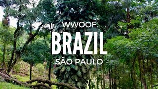 WWOOF Brazil  Farm Views [upl. by Atinob]